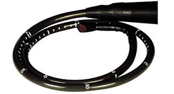 Esaote MyLab30 TEE123 Phased Array