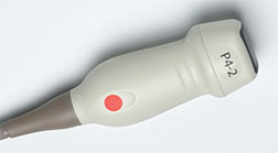 Acuson P500 P4-2 Transducer