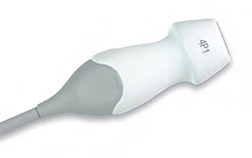 Acuson S2000 4P1 Transducer