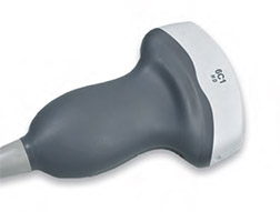 Acuson S2000 6C1 Transducer