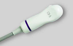 Acuson X300 C8-5 Transducer