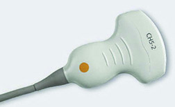 Acuson X300 CH5-2 Transducer