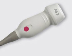 Acuson X300 P4-2 Transducer