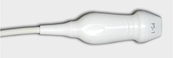 Acuson X300 P5-1 Transducer