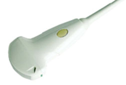 Siemens Acuson P300 CA431 Transducer