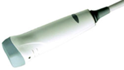 Siemens Acuson P300 PA230 Transducer