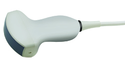 Terason t3200 6C1 Transducer | Probe