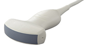 Terason uSmart 3200T 5C2 Transducer | Probe