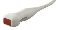 Terason uSmart 3300 8V3 Phased Array Transducer | Probe