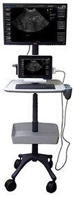 Terason uSmart 3200T Veterinary Ultrasound System